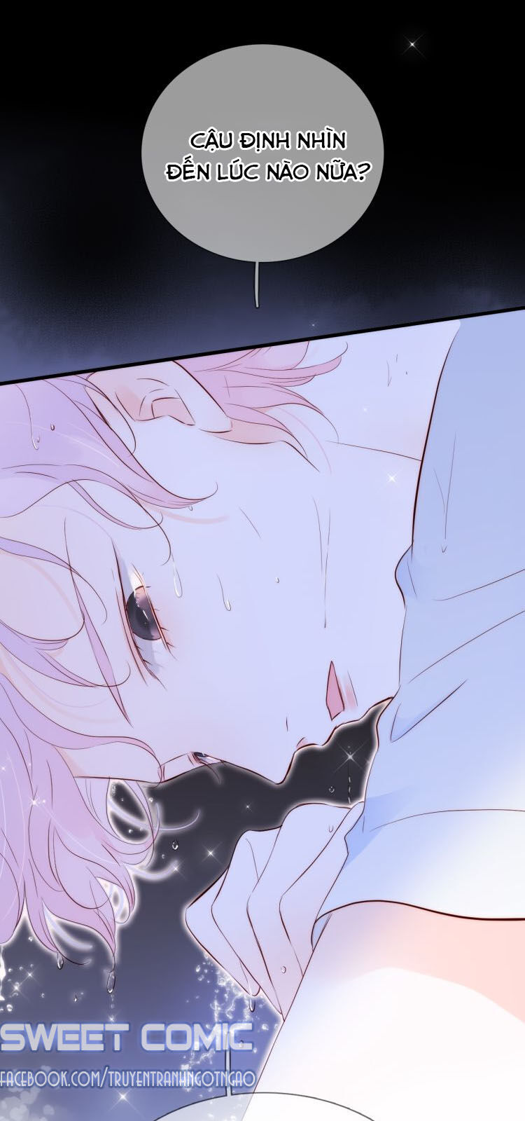 Chạy Trốn Cùng Con Nhím Chapter 4 - Trang 2