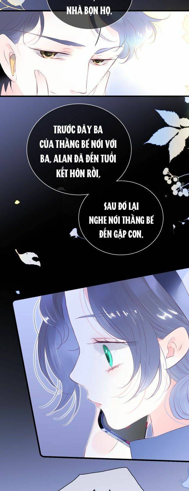 Chạy Trốn Cùng Con Nhím Chapter 42 - Trang 2