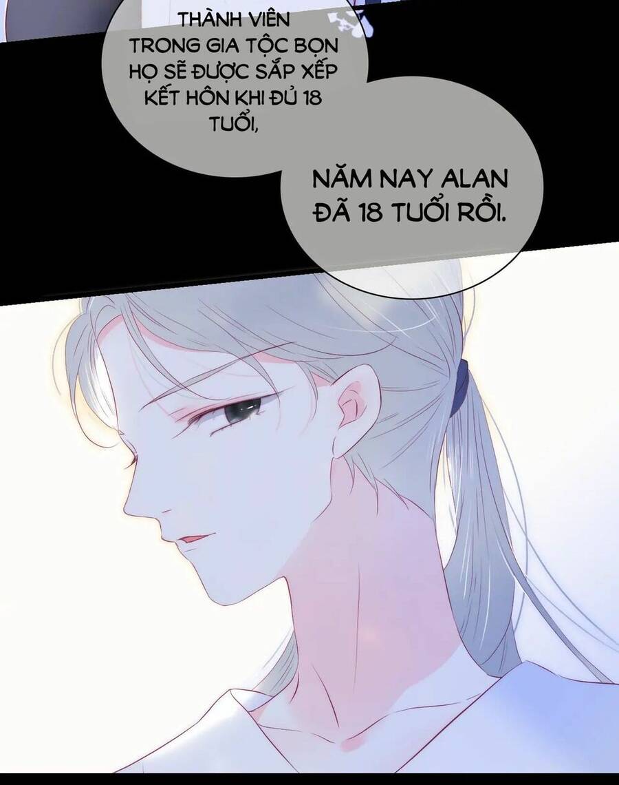 Chạy Trốn Cùng Con Nhím Chapter 43 - Trang 2