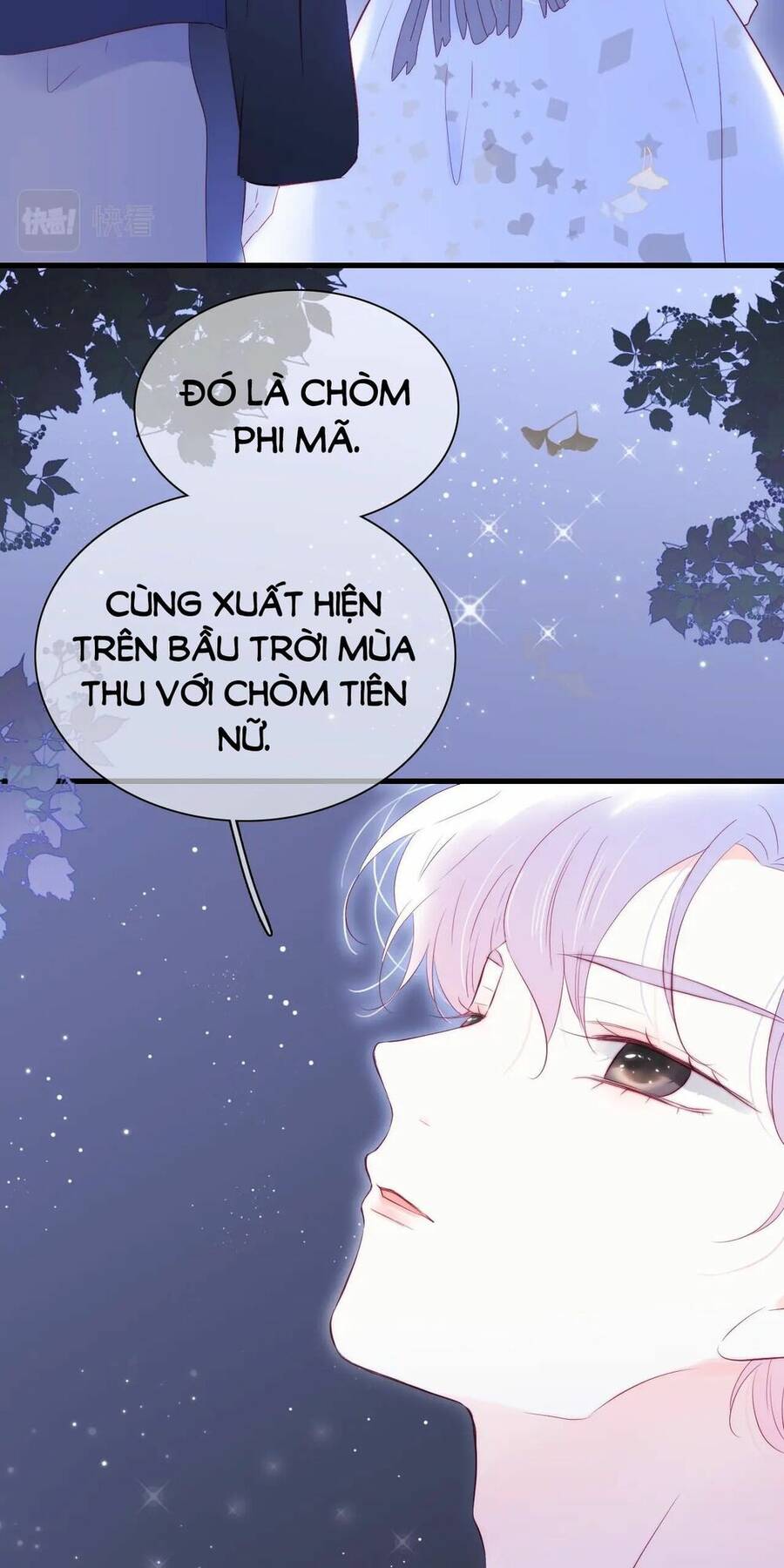Chạy Trốn Cùng Con Nhím Chapter 45 - Trang 2