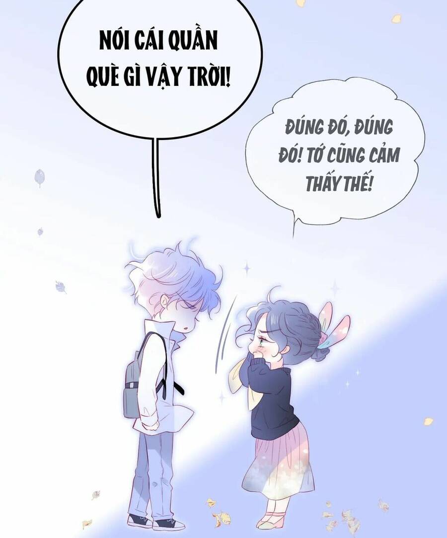 Chạy Trốn Cùng Con Nhím Chapter 50 - Trang 2