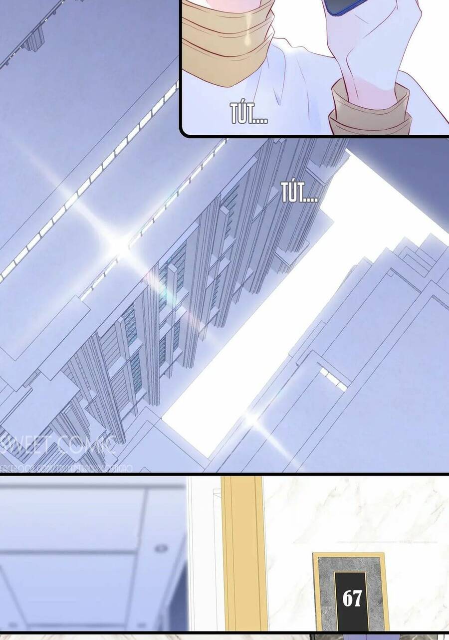 Chạy Trốn Cùng Con Nhím Chapter 51 - Trang 2