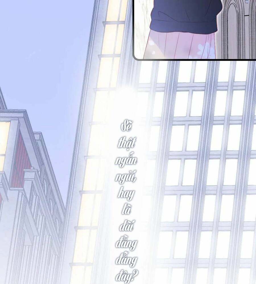 Chạy Trốn Cùng Con Nhím Chapter 51 - Trang 2