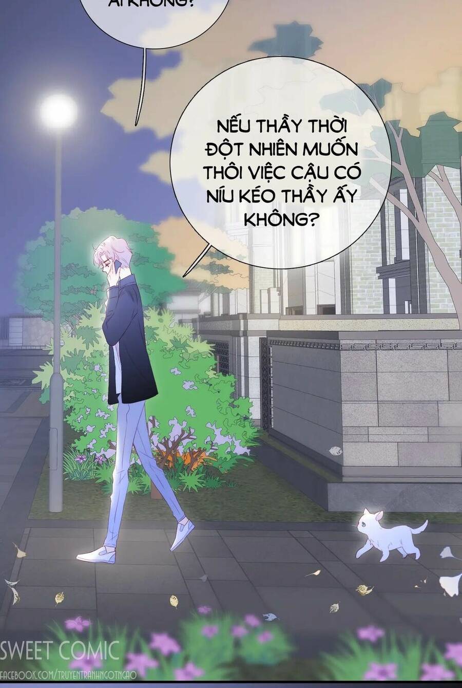 Chạy Trốn Cùng Con Nhím Chapter 58 - Trang 2