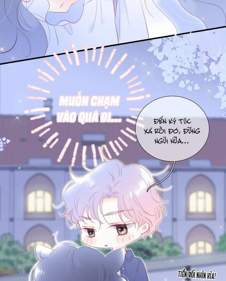 Chạy Trốn Cùng Con Nhím Chapter 58 - Trang 2