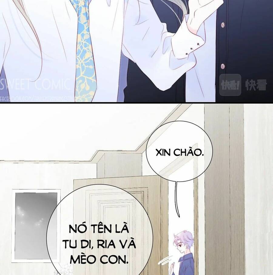 Chạy Trốn Cùng Con Nhím Chapter 58 - Trang 2