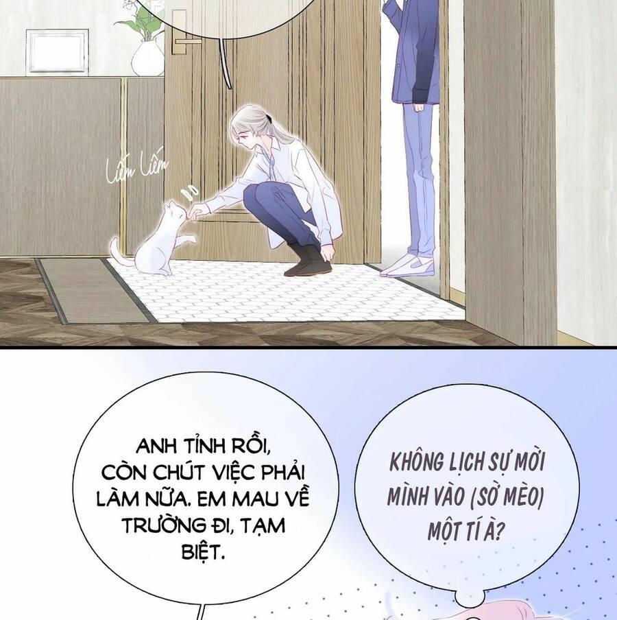 Chạy Trốn Cùng Con Nhím Chapter 58 - Trang 2