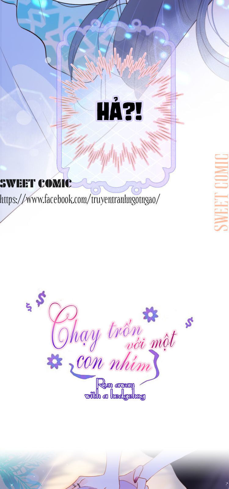 Chạy Trốn Cùng Con Nhím Chapter 6 - Trang 2