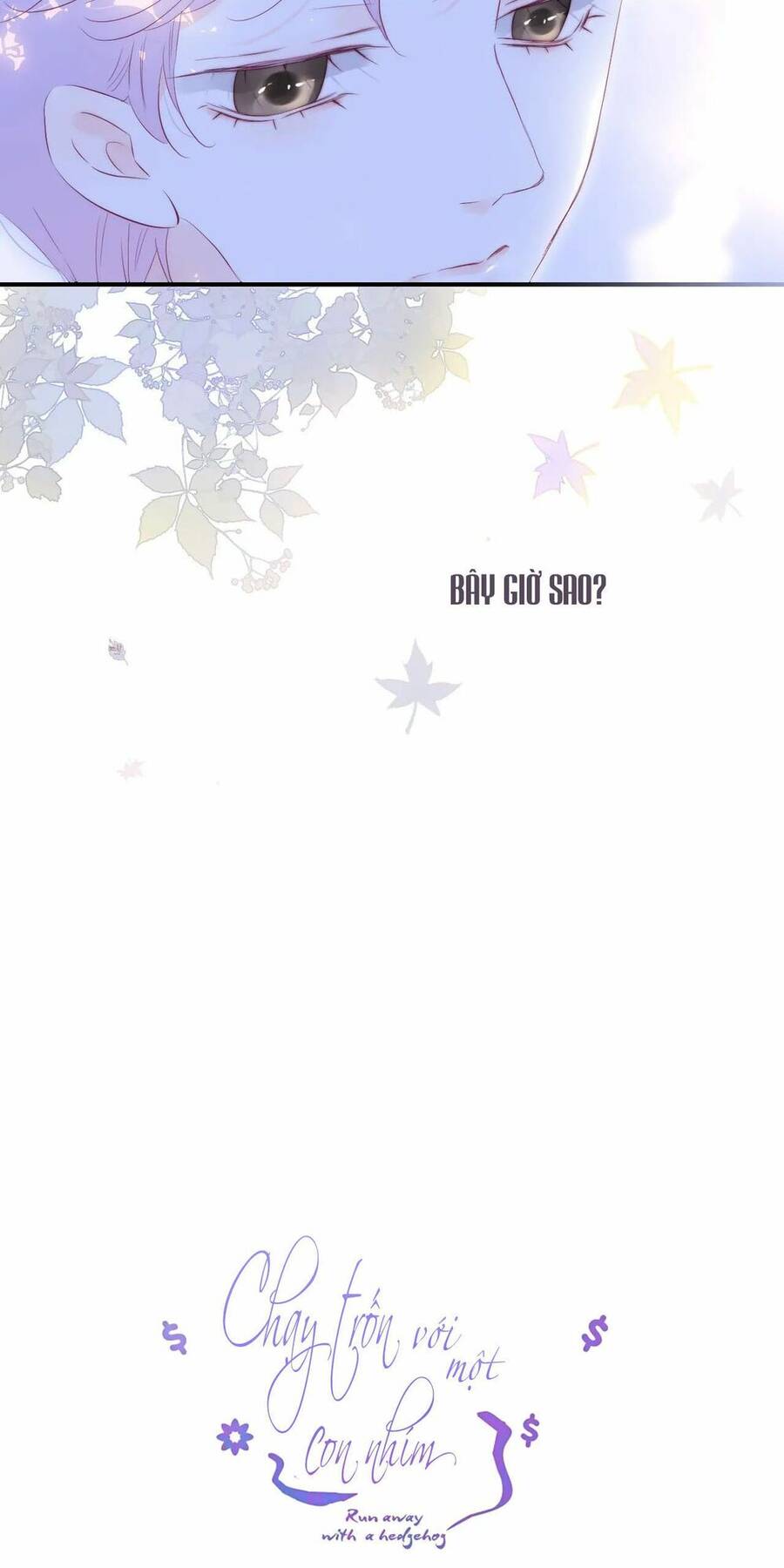 Chạy Trốn Cùng Con Nhím Chapter 63 - Trang 2