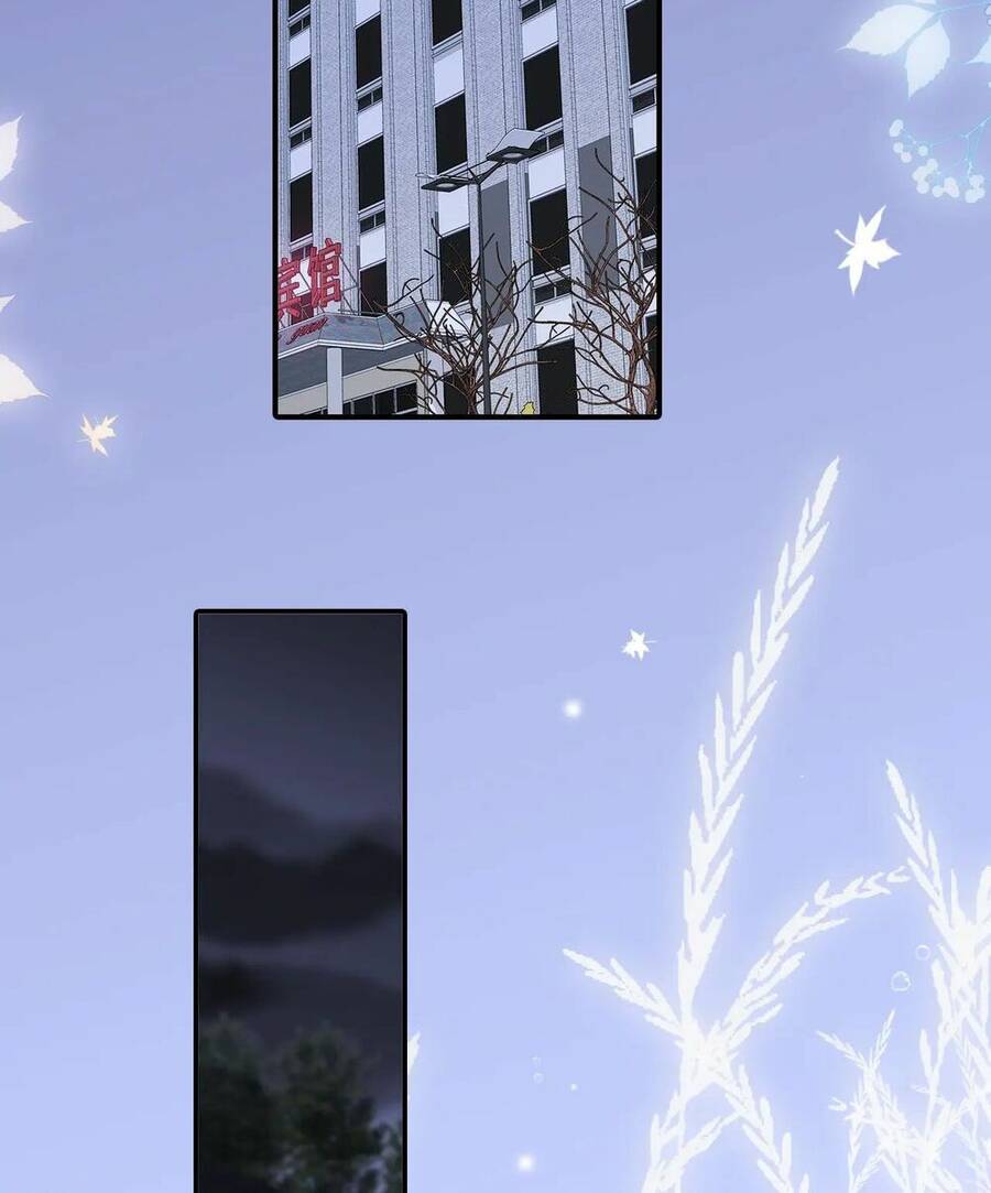 Chạy Trốn Cùng Con Nhím Chapter 67 - Trang 2