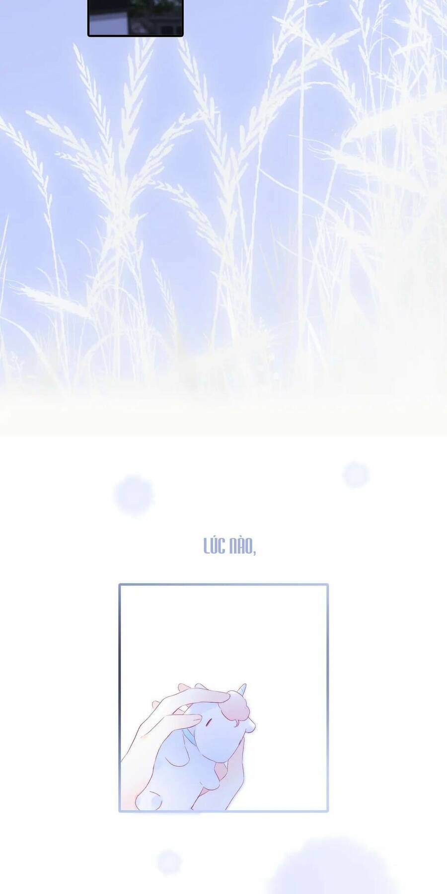 Chạy Trốn Cùng Con Nhím Chapter 67 - Trang 2