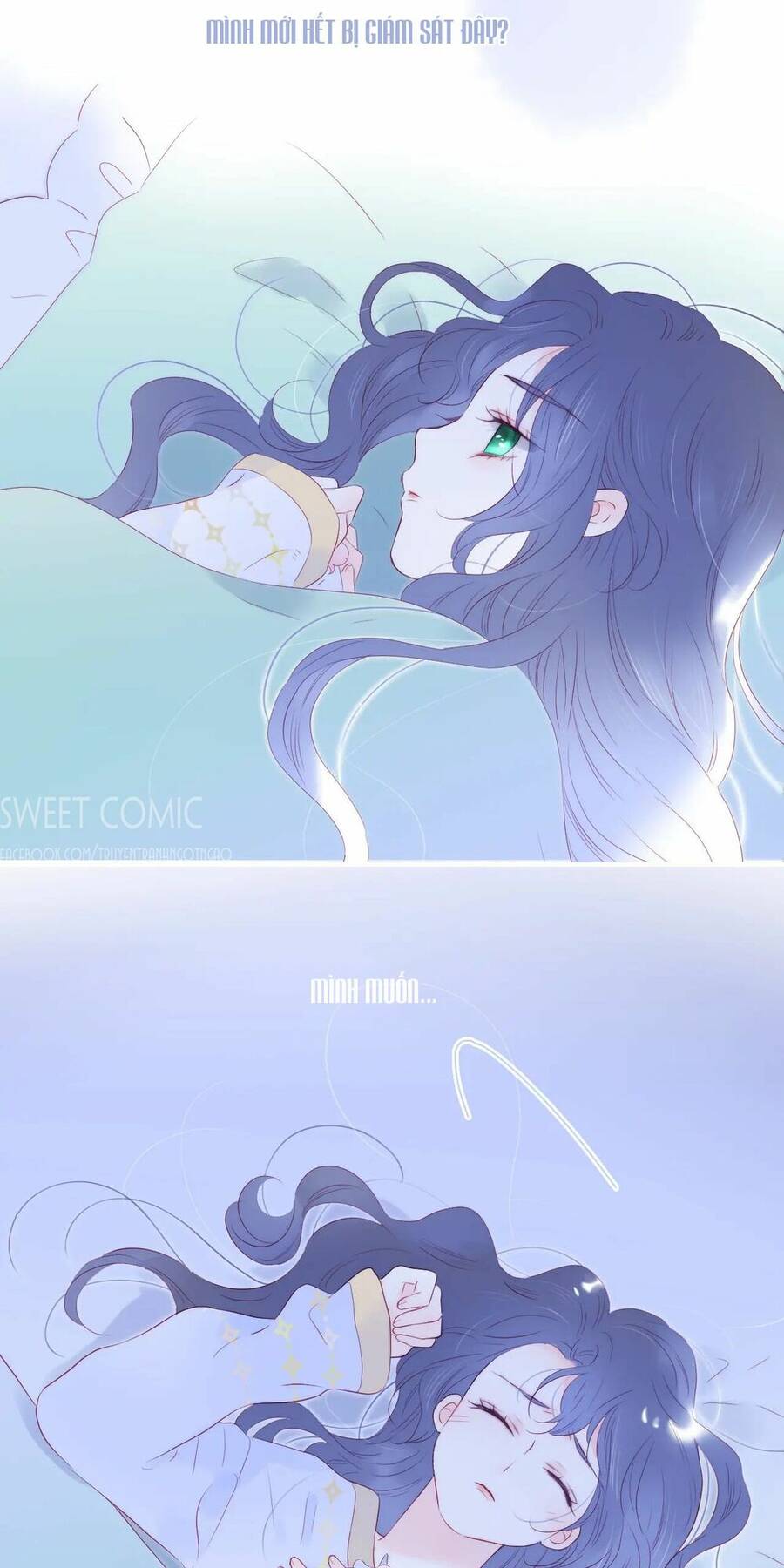 Chạy Trốn Cùng Con Nhím Chapter 67 - Trang 2