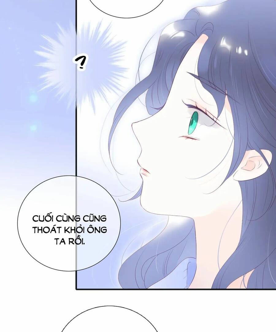 Chạy Trốn Cùng Con Nhím Chapter 71 - Trang 2