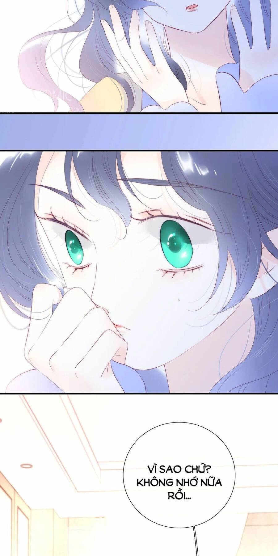 Chạy Trốn Cùng Con Nhím Chapter 72 - Trang 2