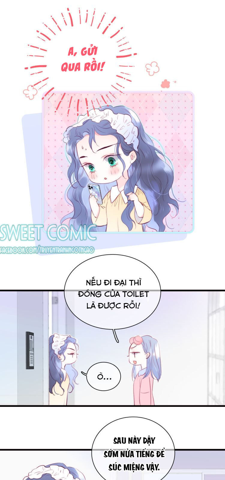 Chạy Trốn Cùng Con Nhím Chapter 8 - Trang 2