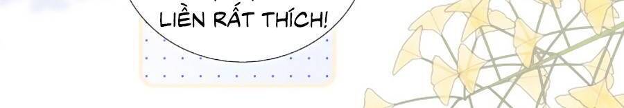 Chạy Trốn Cùng Con Nhím Chapter 81.5 - Trang 2