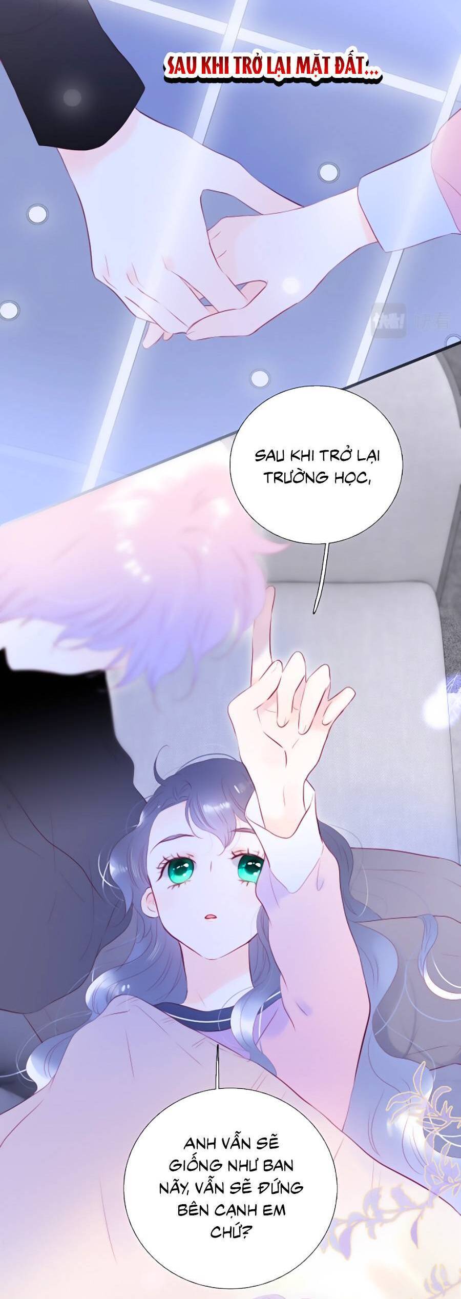 Chạy Trốn Cùng Con Nhím Chapter 85 - Trang 2