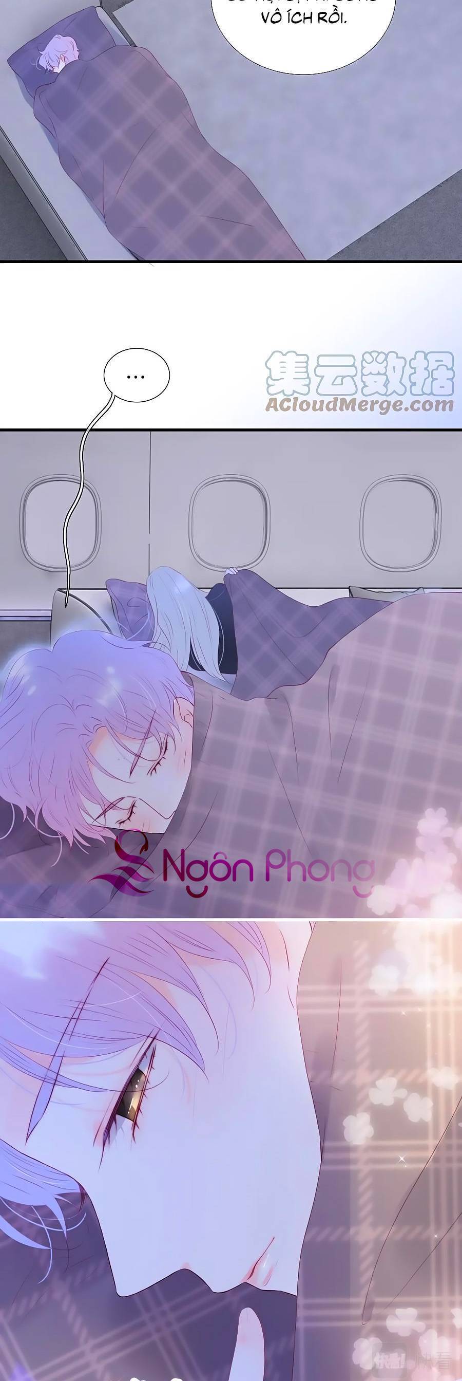 Chạy Trốn Cùng Con Nhím Chapter 86 - Trang 2