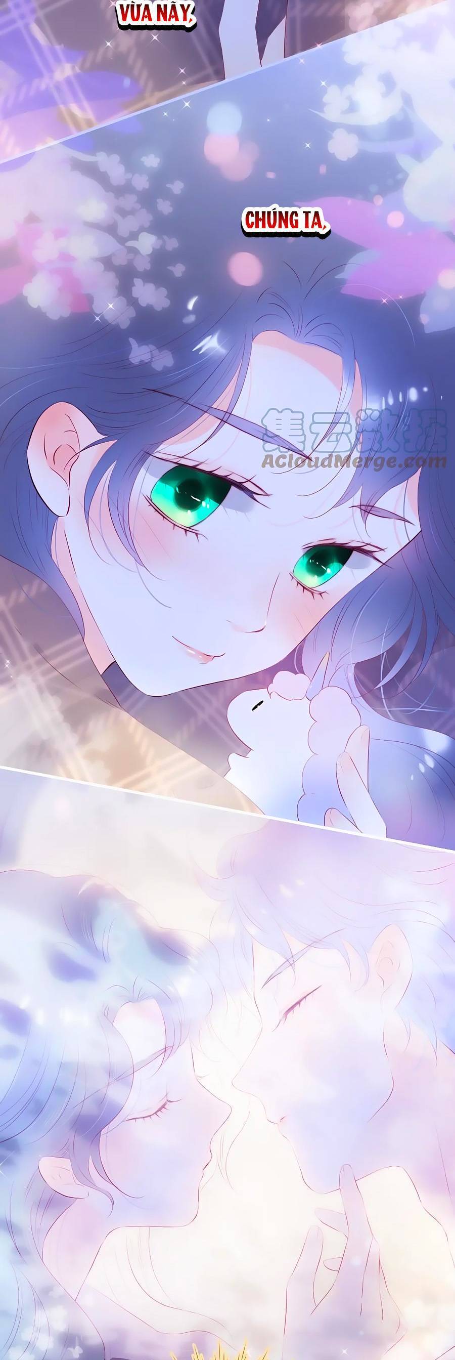 Chạy Trốn Cùng Con Nhím Chapter 86 - Trang 2