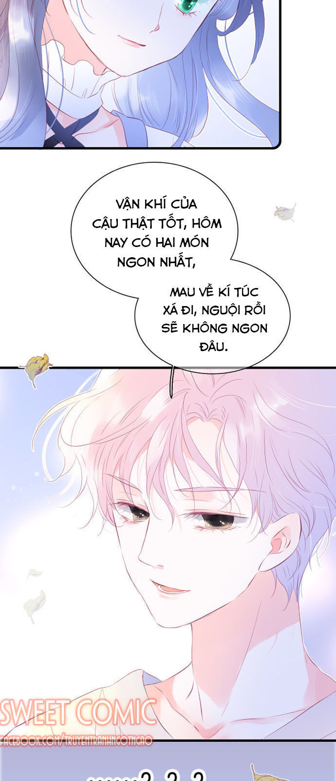 Chạy Trốn Cùng Con Nhím Chapter 9 - Trang 2