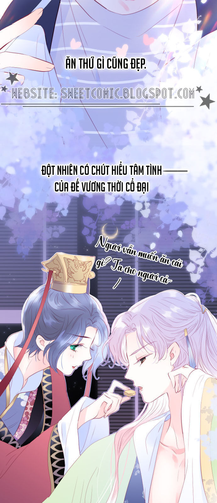 Chạy Trốn Cùng Con Nhím Chapter 9 - Trang 2