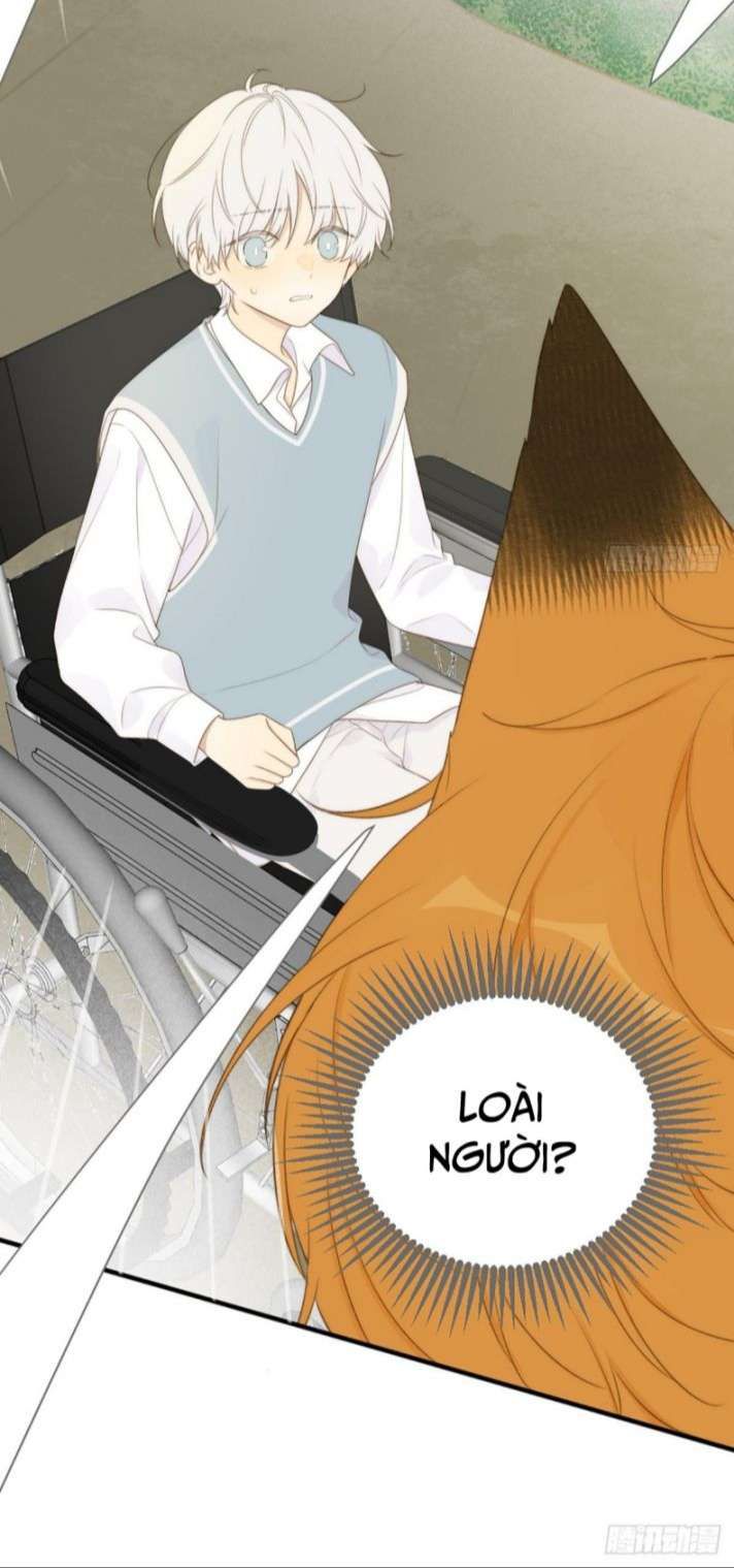 Chỉ Có Đuôi Là Không Thể Chapter 1 - Trang 2