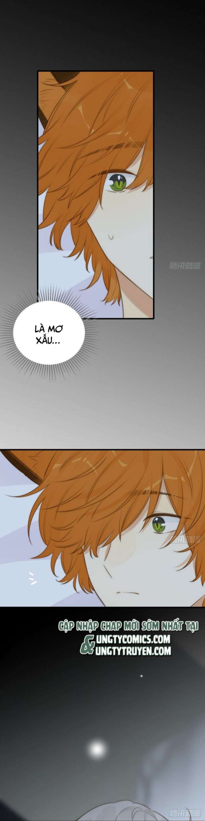 Chỉ Có Đuôi Là Không Thể Chapter 12 - Trang 2