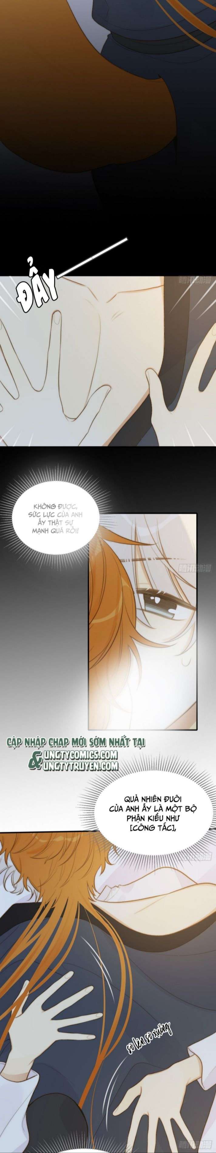 Chỉ Có Đuôi Là Không Thể Chapter 12 - Trang 2