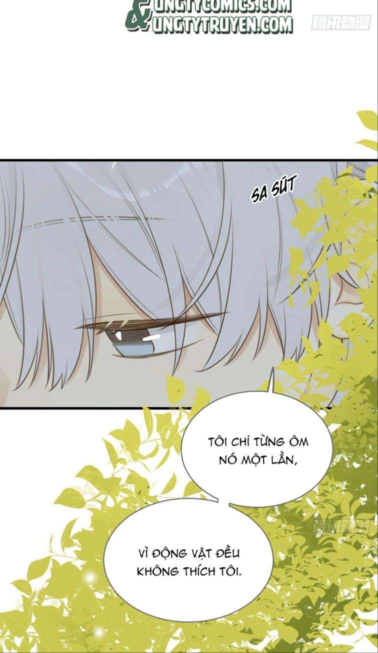 Chỉ Có Đuôi Là Không Thể Chapter 13 - Trang 2