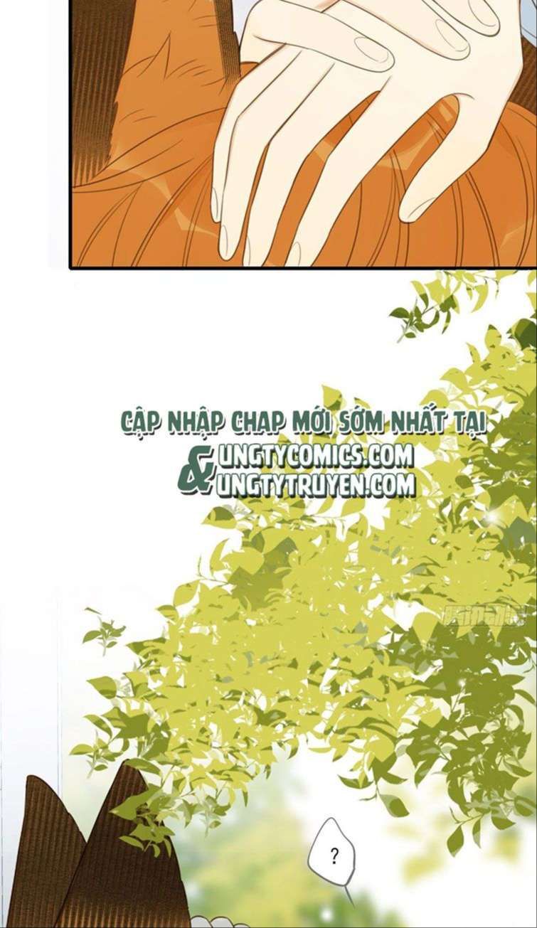 Chỉ Có Đuôi Là Không Thể Chapter 13 - Trang 2