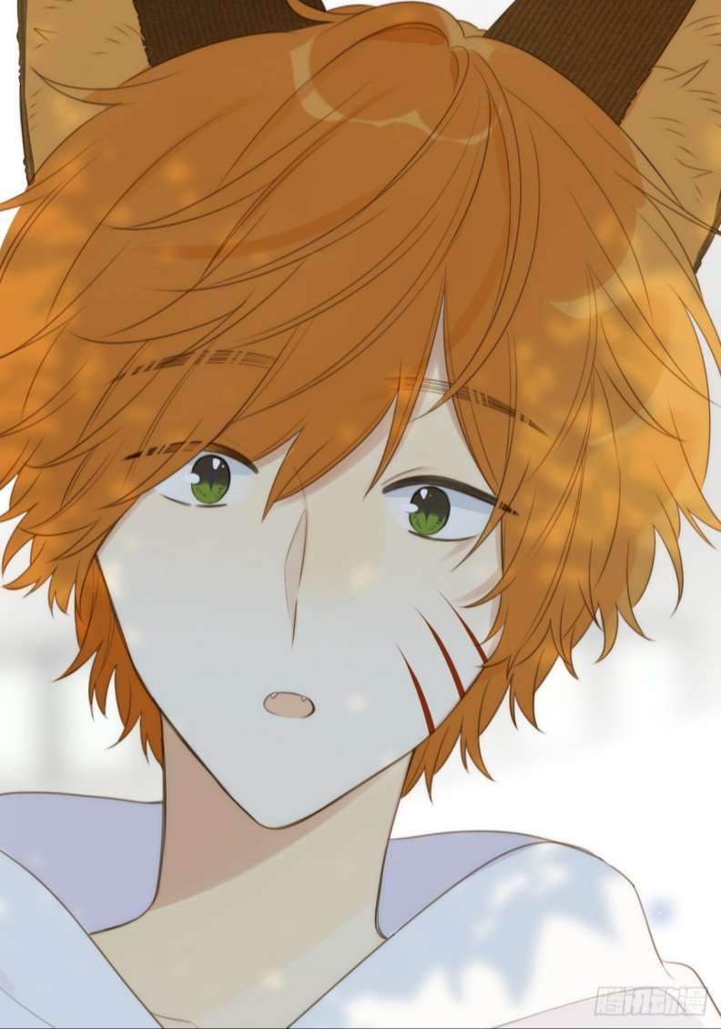 Chỉ Có Đuôi Là Không Thể Chapter 18 - Trang 2