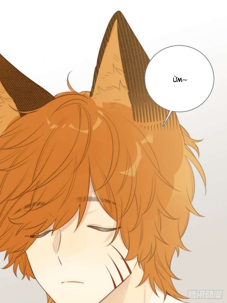 Chỉ Có Đuôi Là Không Thể Chapter 18 - Trang 2