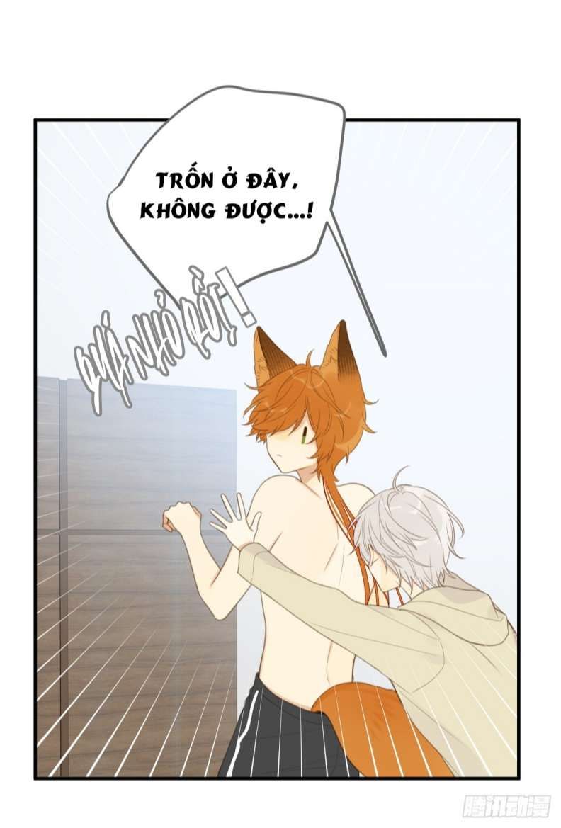 Chỉ Có Đuôi Là Không Thể Chapter 20 - Trang 2
