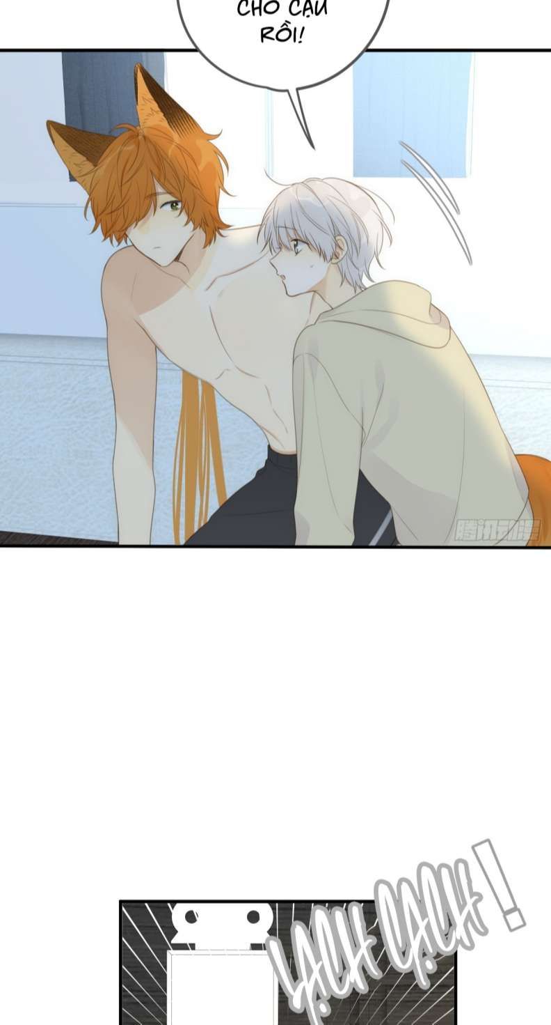 Chỉ Có Đuôi Là Không Thể Chapter 20 - Trang 2