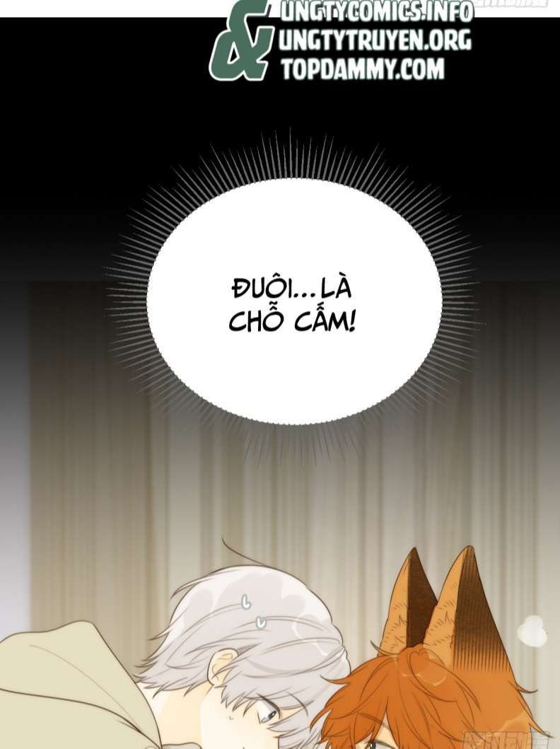 Chỉ Có Đuôi Là Không Thể Chapter 25 - Trang 2