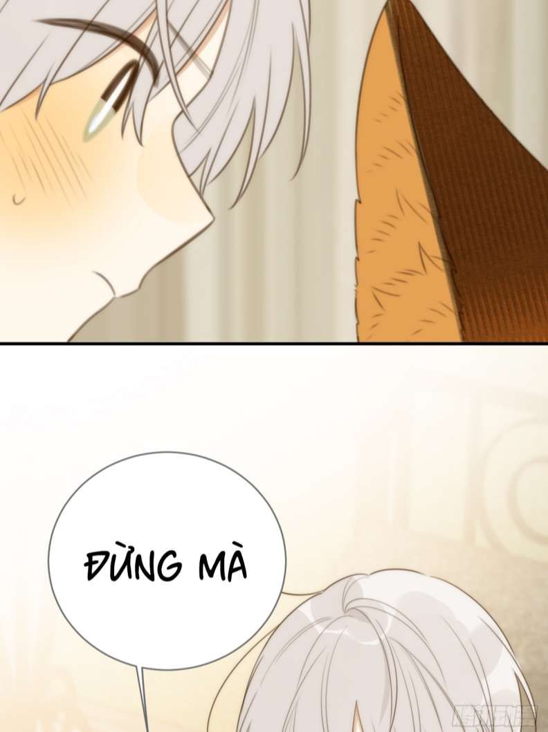 Chỉ Có Đuôi Là Không Thể Chapter 25 - Trang 2