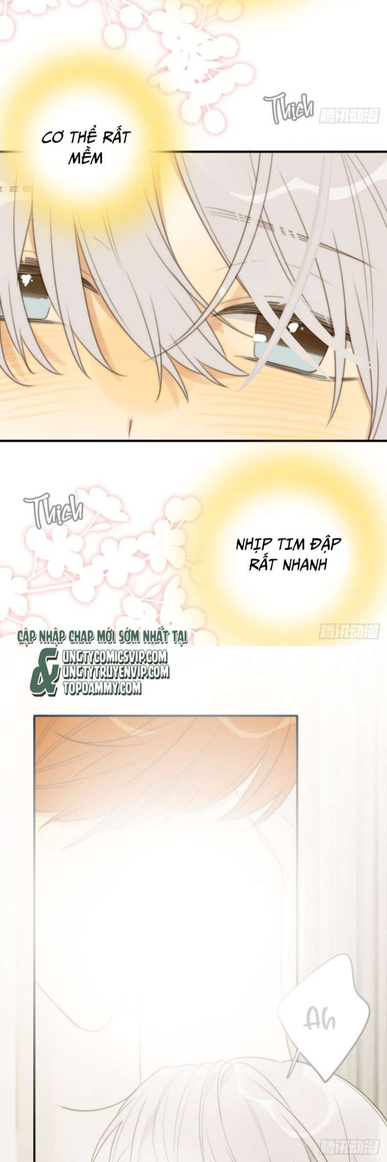Chỉ Có Đuôi Là Không Thể Chapter 26 - Trang 2