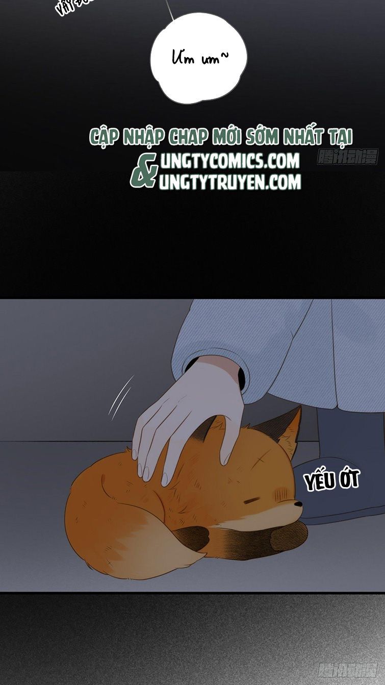 Chỉ Có Đuôi Là Không Thể Chapter 3 - Trang 2