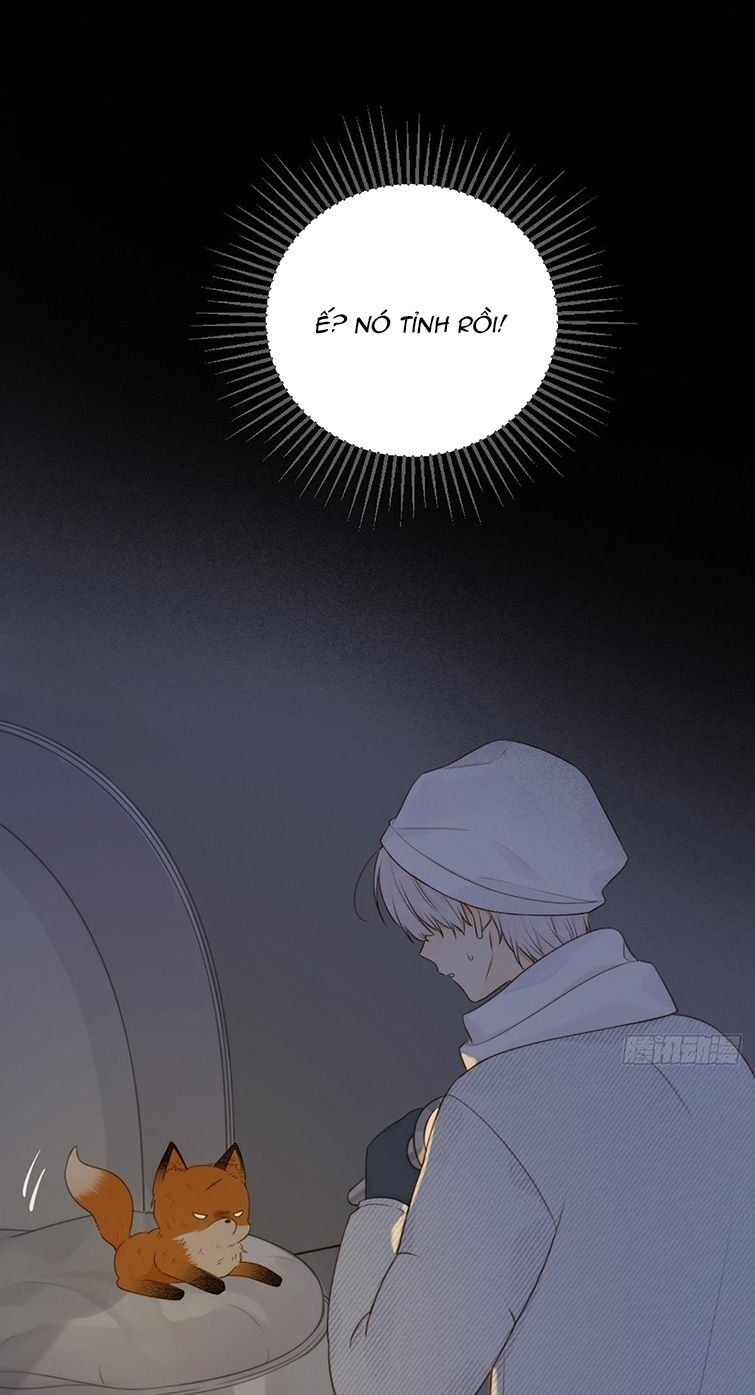 Chỉ Có Đuôi Là Không Thể Chapter 3 - Trang 2