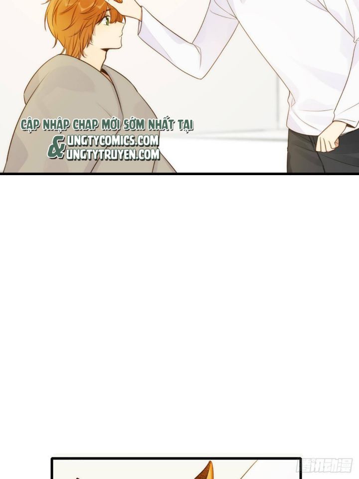 Chỉ Có Đuôi Là Không Thể Chapter 4 - Trang 2