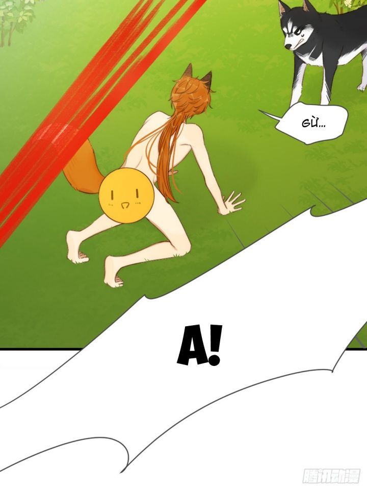 Chỉ Có Đuôi Là Không Thể Chapter 4 - Trang 2