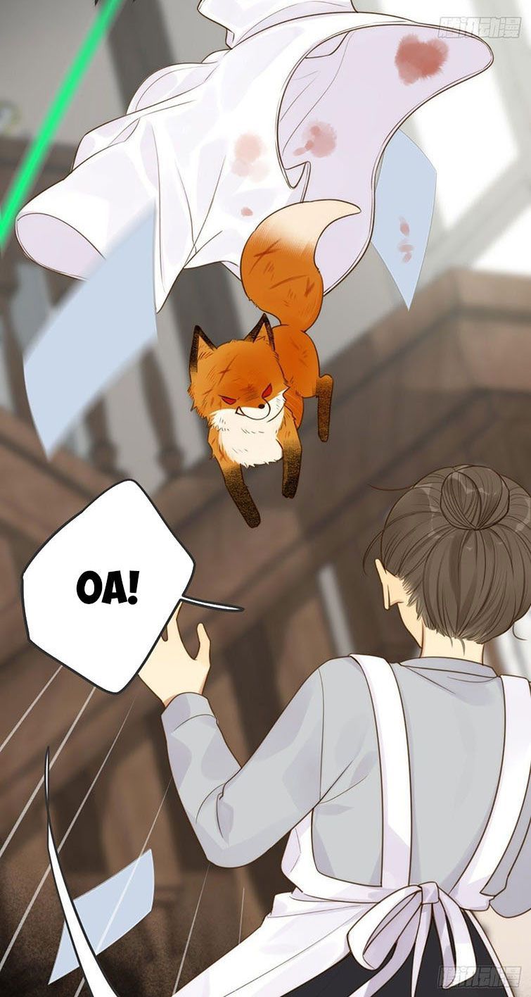 Chỉ Có Đuôi Là Không Thể Chapter 6 - Trang 2