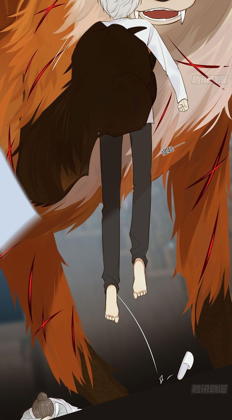 Chỉ Có Đuôi Là Không Thể Chapter 6 - Trang 2