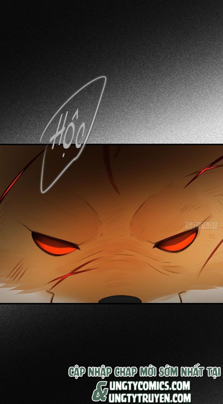Chỉ Có Đuôi Là Không Thể Chapter 6 - Trang 2