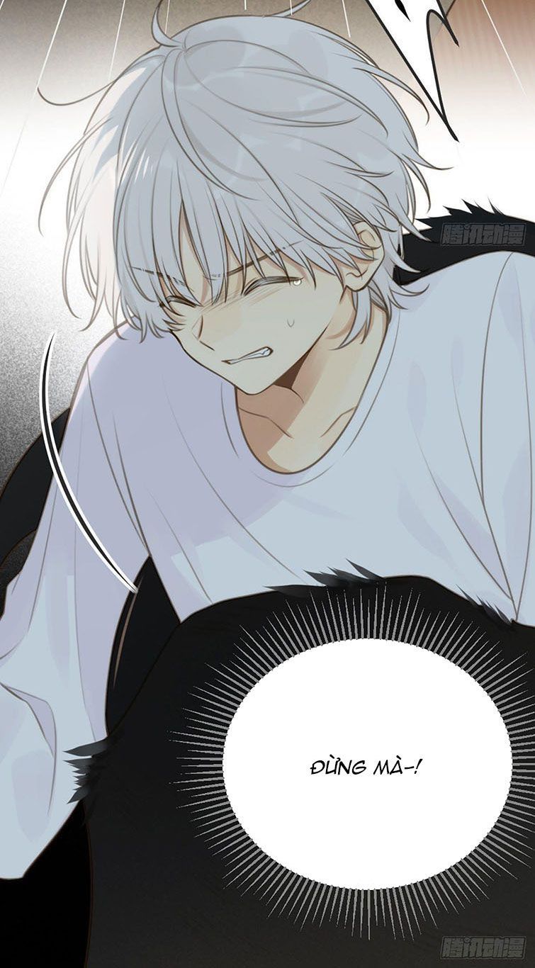 Chỉ Có Đuôi Là Không Thể Chapter 6 - Trang 2