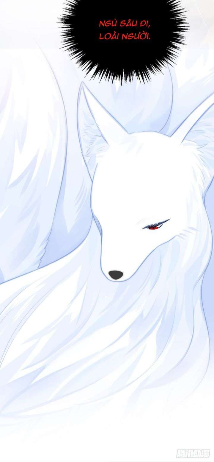 Chỉ Có Đuôi Là Không Thể Chapter 8 - Trang 2