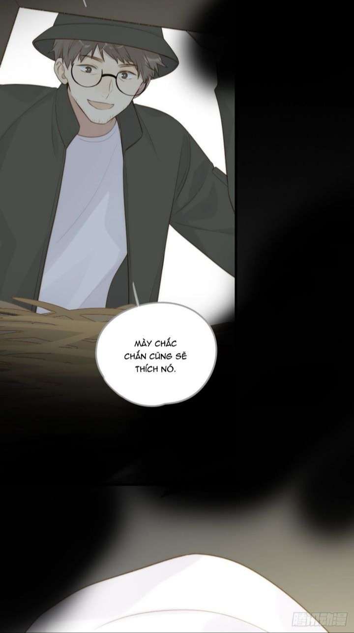 Chỉ Có Đuôi Là Không Thể Chapter 8 - Trang 2