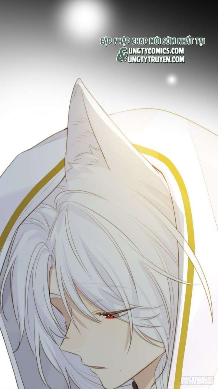 Chỉ Có Đuôi Là Không Thể Chapter 8 - Trang 2