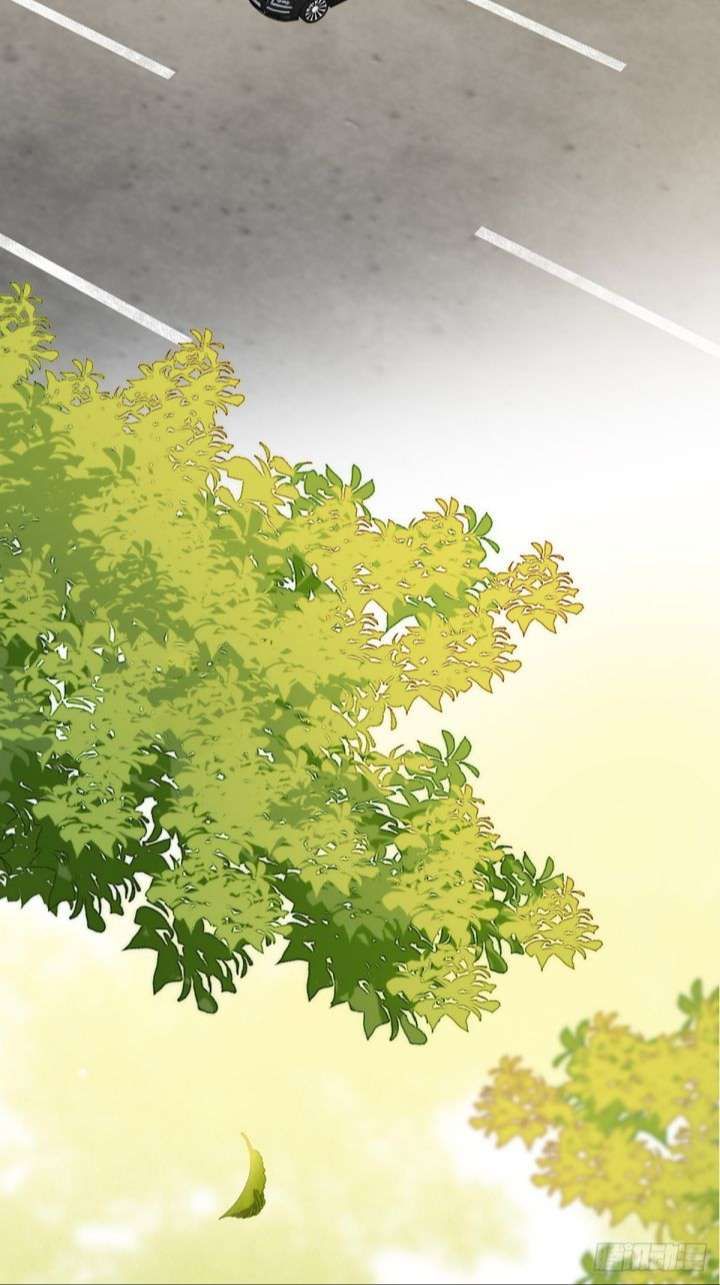 Chỉ Có Đuôi Là Không Thể Chapter 8 - Trang 2