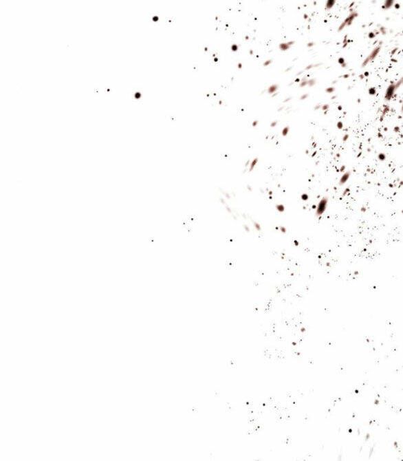 Chị Gái À, Kiếp Này Em Chính Là Nữ Hoàng Chapter 51.1 - Trang 2